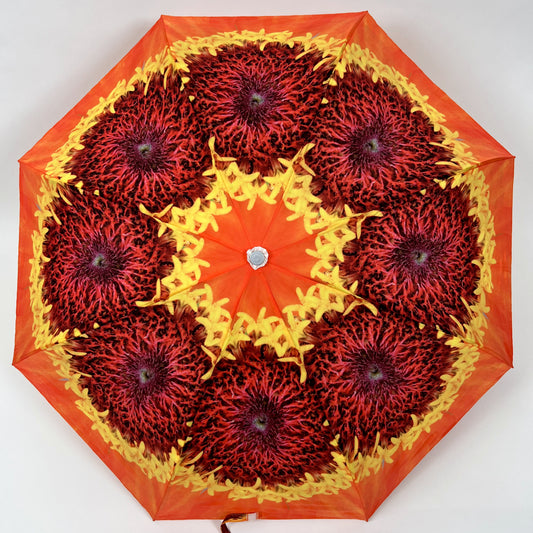 Orange Zinnia Umbrella